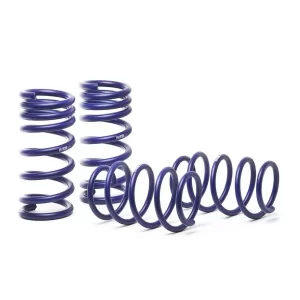 Maserati Quattroporte Lowering Springs - H&R - '08-'13