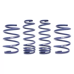 Maserati Quattroporte Lowering Springs - H&R - '08-'13